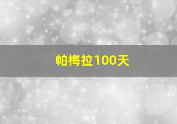 帕梅拉100天