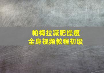 帕梅拉减肥操瘦全身视频教程初级