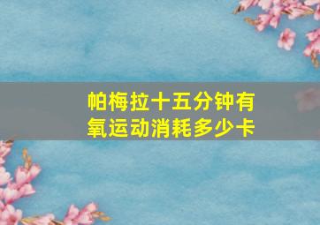 帕梅拉十五分钟有氧运动消耗多少卡