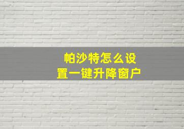 帕沙特怎么设置一键升降窗户