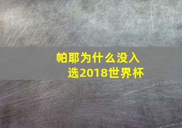 帕耶为什么没入选2018世界杯