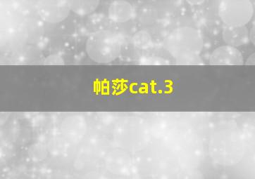 帕莎cat.3