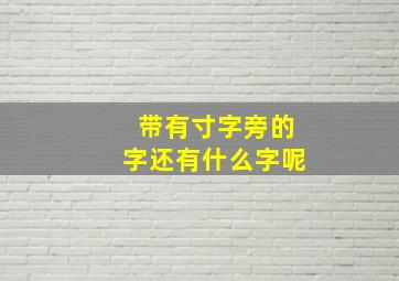 带有寸字旁的字还有什么字呢