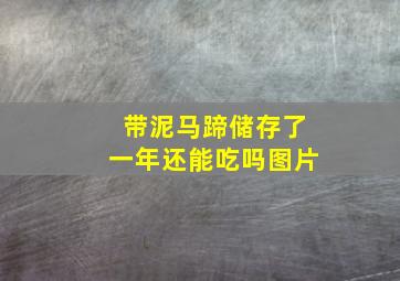 带泥马蹄储存了一年还能吃吗图片