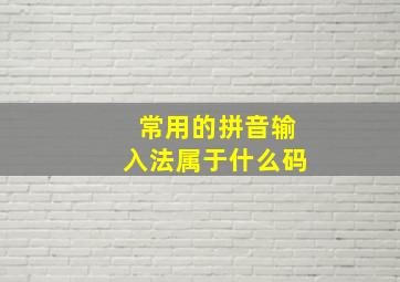 常用的拼音输入法属于什么码