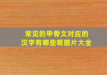 常见的甲骨文对应的汉字有哪些呢图片大全