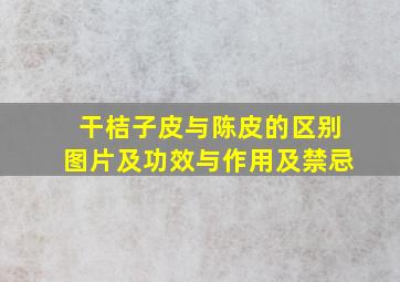 干桔子皮与陈皮的区别图片及功效与作用及禁忌