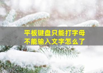 平板键盘只能打字母不能输入文字怎么了