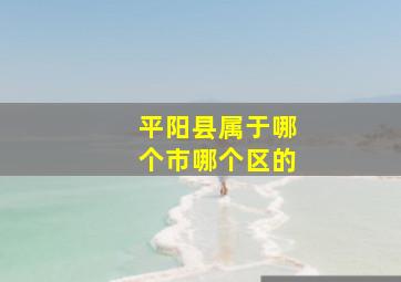 平阳县属于哪个市哪个区的