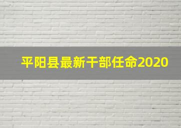 平阳县最新干部任命2020