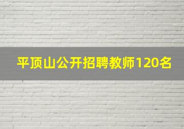 平顶山公开招聘教师120名