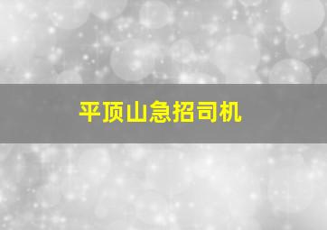 平顶山急招司机