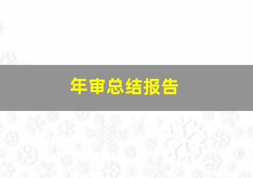 年审总结报告