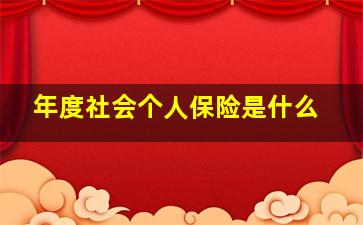 年度社会个人保险是什么