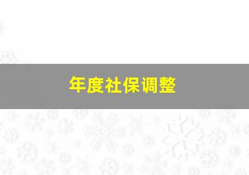 年度社保调整