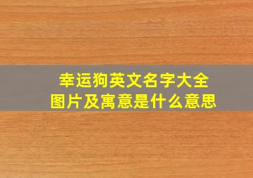 幸运狗英文名字大全图片及寓意是什么意思