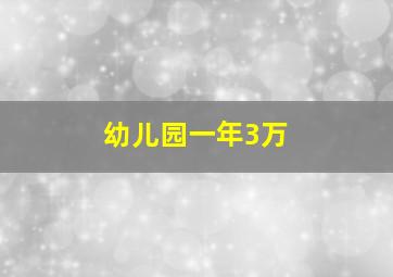 幼儿园一年3万