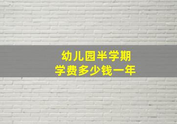 幼儿园半学期学费多少钱一年