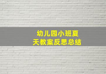 幼儿园小班夏天教案反思总结