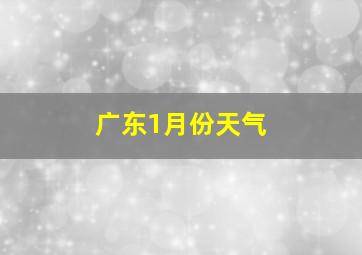 广东1月份天气