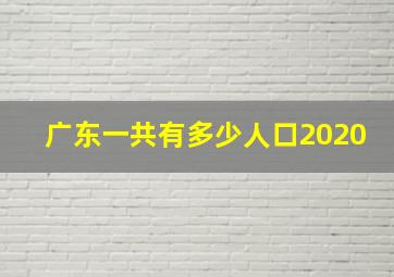 广东一共有多少人口2020