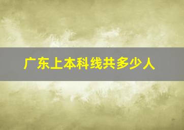 广东上本科线共多少人