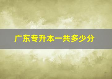 广东专升本一共多少分