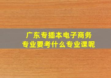 广东专插本电子商务专业要考什么专业课呢