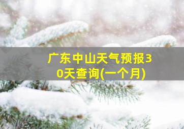 广东中山天气预报30天查询(一个月)