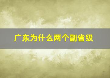 广东为什么两个副省级