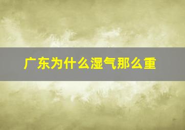 广东为什么湿气那么重