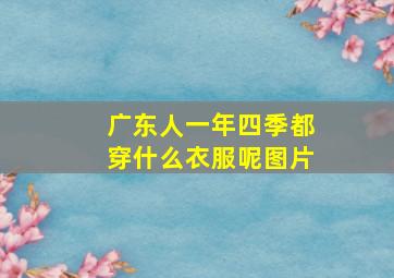 广东人一年四季都穿什么衣服呢图片