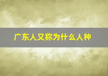 广东人又称为什么人种