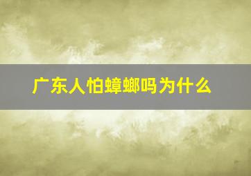 广东人怕蟑螂吗为什么