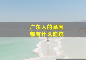 广东人的基因都有什么血统