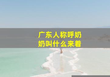 广东人称呼奶奶叫什么来着