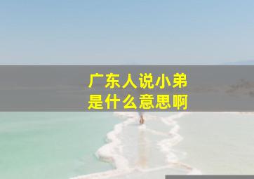 广东人说小弟是什么意思啊