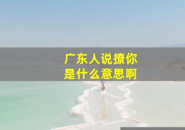 广东人说撩你是什么意思啊