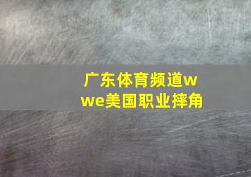 广东体育频道wwe美国职业摔角