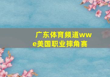 广东体育频道wwe美国职业摔角赛