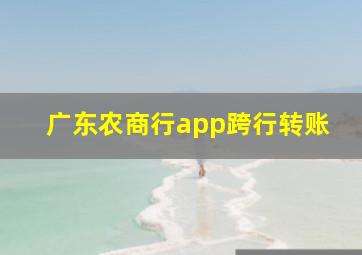 广东农商行app跨行转账