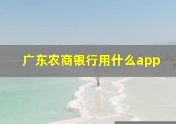 广东农商银行用什么app