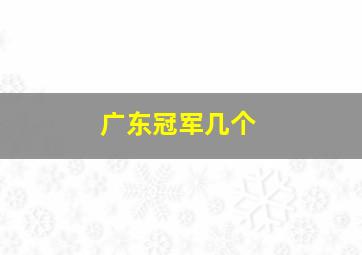 广东冠军几个