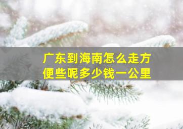 广东到海南怎么走方便些呢多少钱一公里