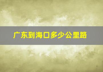 广东到海口多少公里路