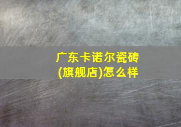 广东卡诺尔瓷砖(旗舰店)怎么样