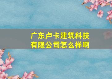 广东卢卡建筑科技有限公司怎么样啊