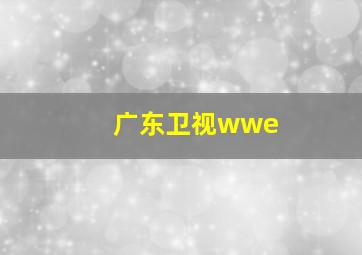 广东卫视wwe