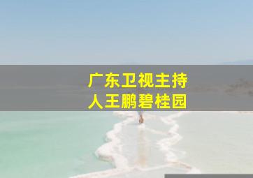 广东卫视主持人王鹏碧桂园