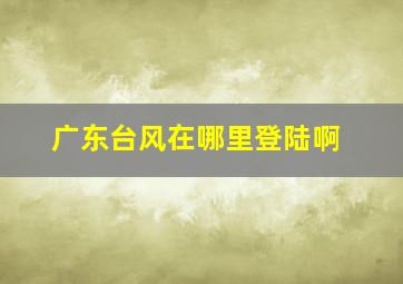 广东台风在哪里登陆啊